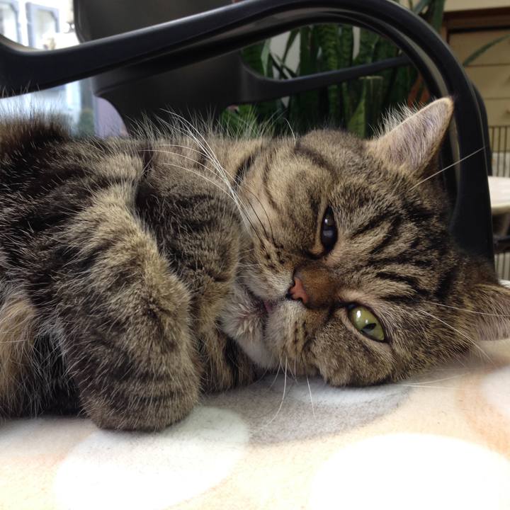 D1217058 1b49 4718 bb1f efa87b557e3c