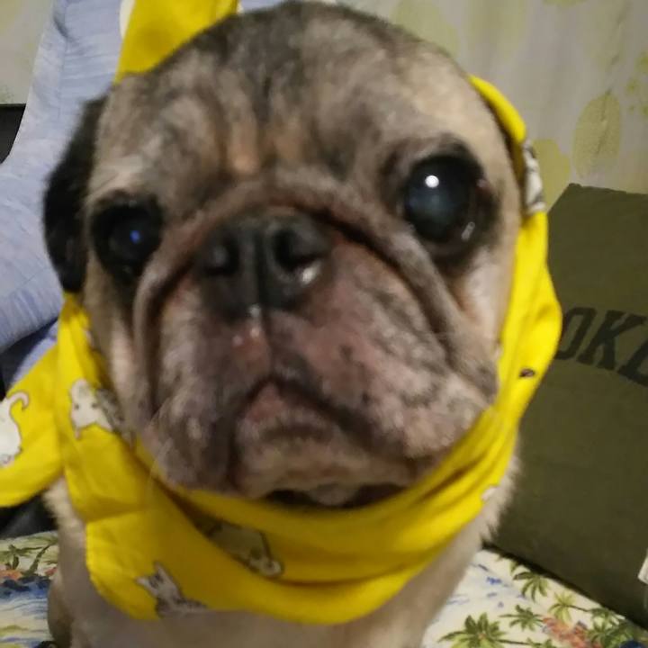 D121ebbf 10b6 4c3c a1fc 3f2eca3b64bc