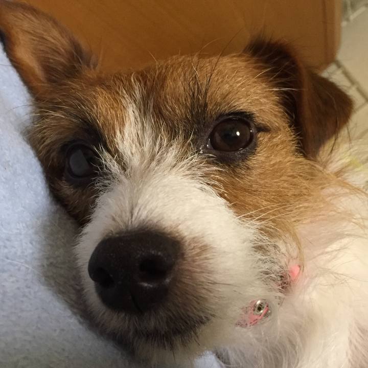 D122882e 205a 4e12 b16e 18cf6c5f7717