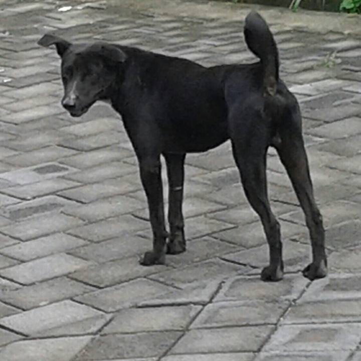 D1228a18 2c70 443d bc63 9dcf442a739d