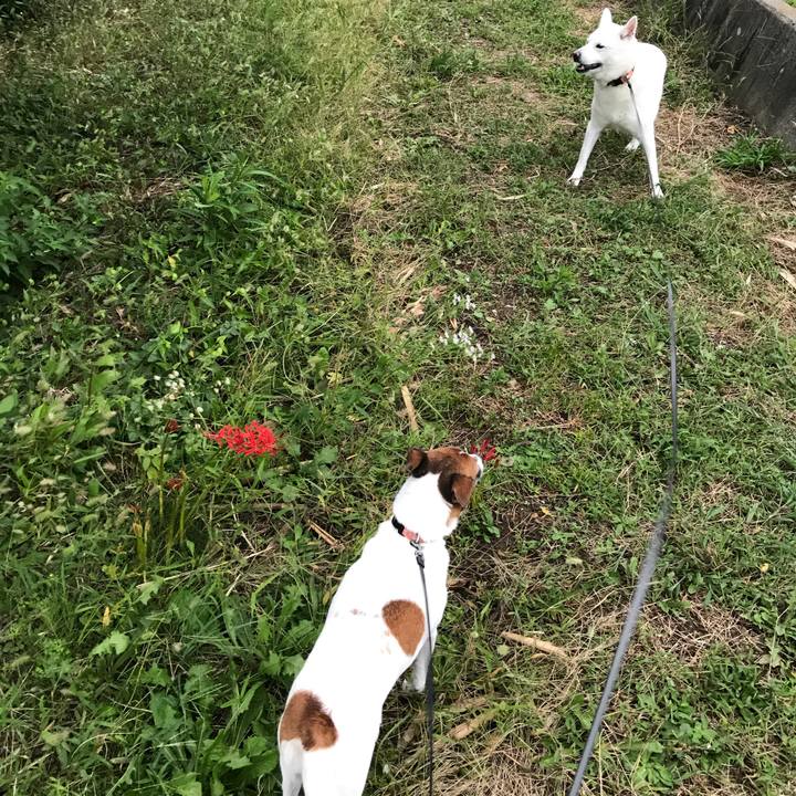 D122b94d 665c 401e a6ee cf8096658923