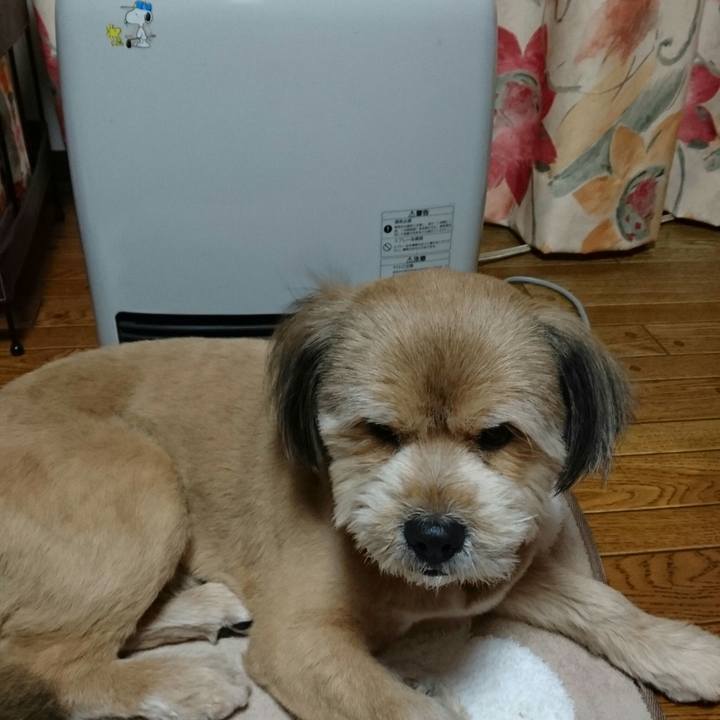 D12366fb 202d 4fa4 9bba 77a265bb4b49