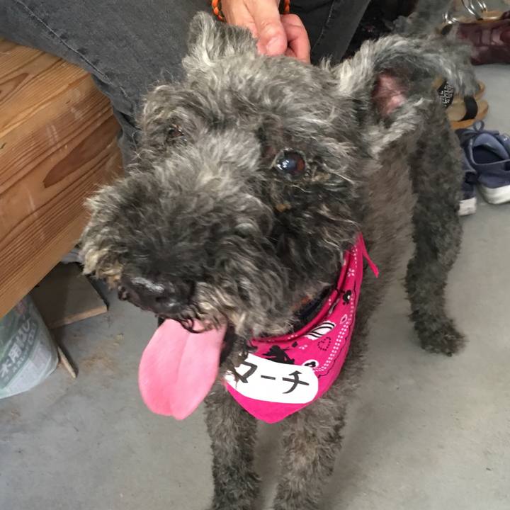 D1236839 dcf6 4024 a7d5 0bea0f0f598e