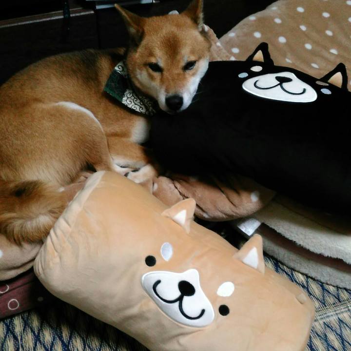 D1241c10 050e 4d99 a5b8 7bd912340d38