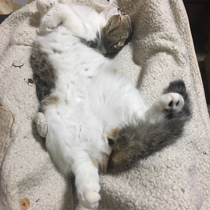 D1241c86 4721 4660 a4d6 bb06037b81e9