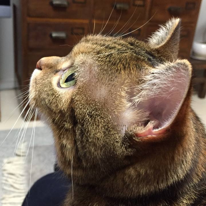 D1242e47 3924 4b9b 922b 54c16a5ed9d8