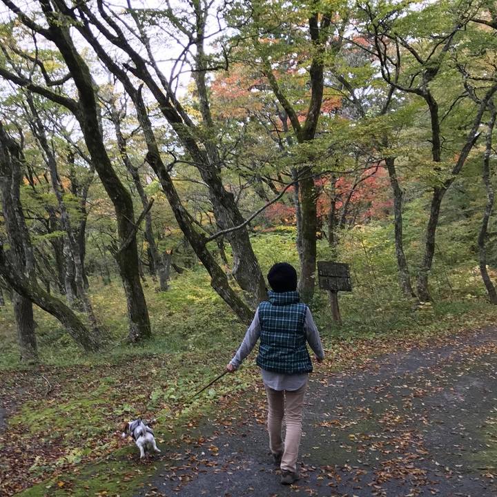 D124722e 5d99 408a aa19 a2623c227024