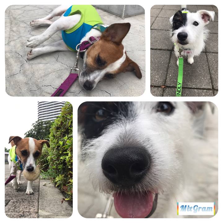 D124e53f 7676 4155 ab07 86ac76909298