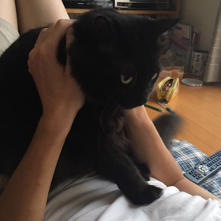 D1252f1e b8ff 4f7e b699 4060a5a21b4b