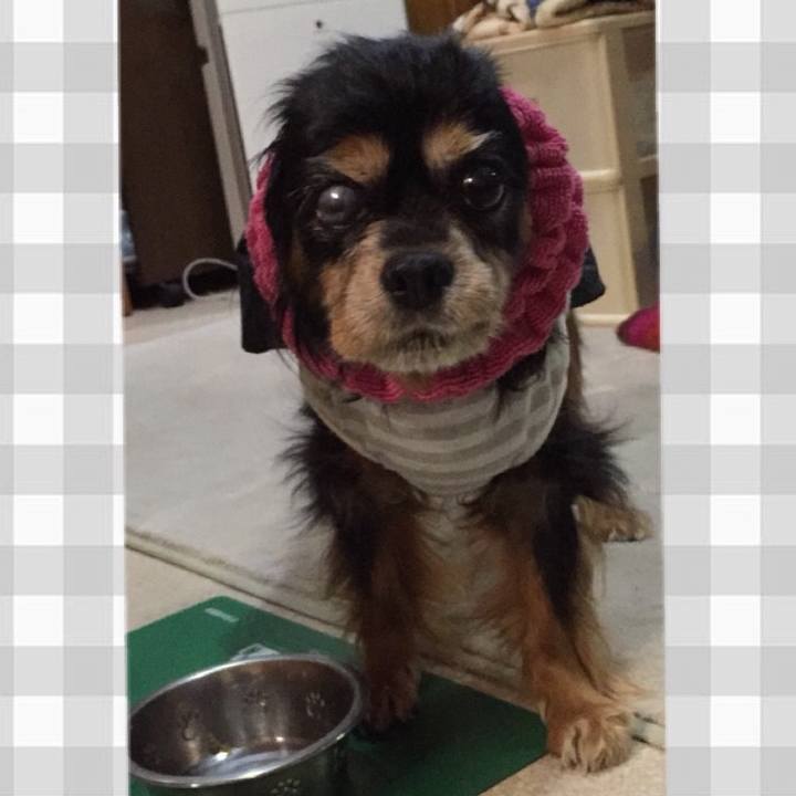 D1256985 72e8 4482 8f6c 85fe8848ebe4