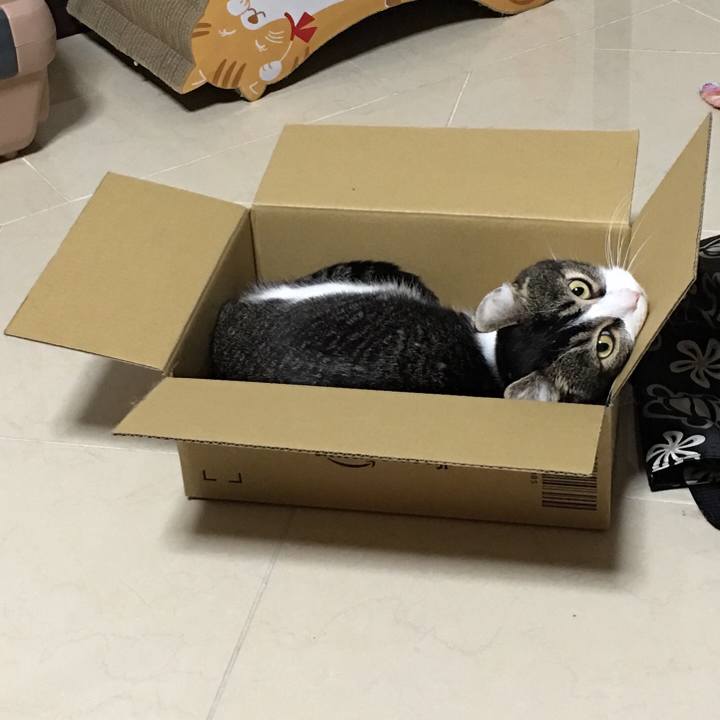 D1258c68 2c68 4b1d 863e 8e72ffd0809a