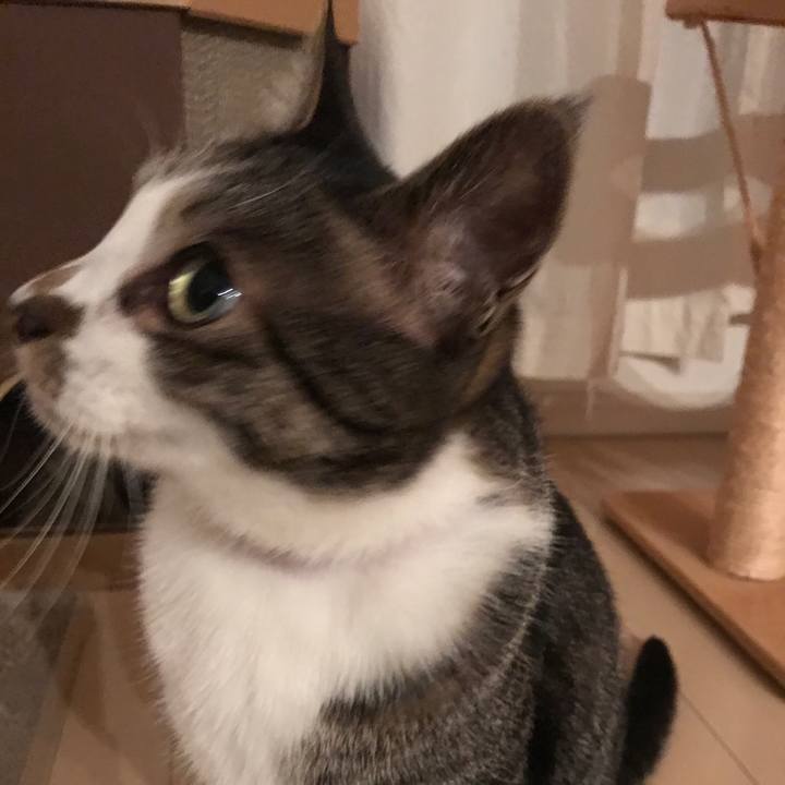 D125a055 0c48 4361 be37 65dbcb6f6f2c