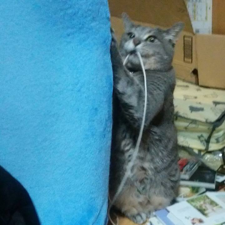 D125f352 de94 4032 ade0 d0a3a5bed7dd