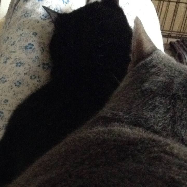 D1262282 5ba5 4a74 99fc ed8351bf12d0