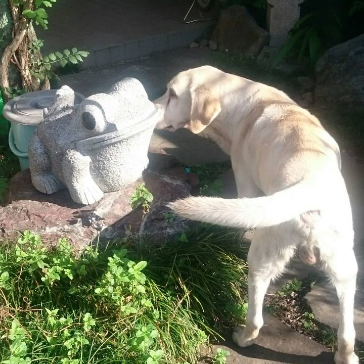 D12626e9 47d2 4afe 8816 98f361c1568d