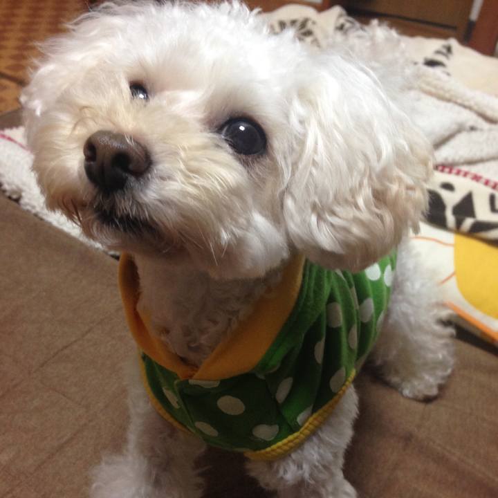 D12630f7 b318 43bc 8b46 f86a0923d1b9