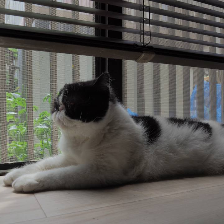 D126cc69 5940 4cc0 a16f 6eccfaf4c4bc