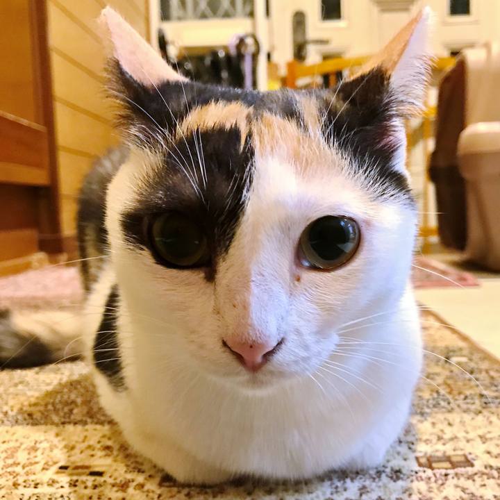 D12722ee 0fd9 4f8f a0f1 427319217d07