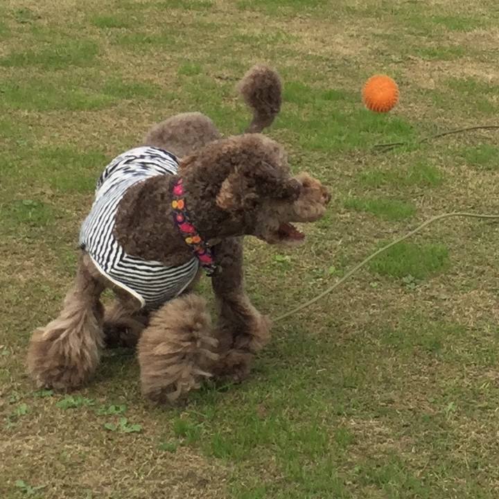 D12732d4 cccf 4688 8812 f93a48fec38d