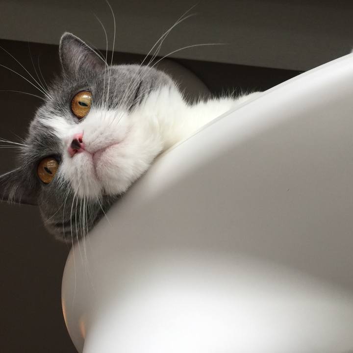 D1276577 386a 441b bb9b 8671e303aff4