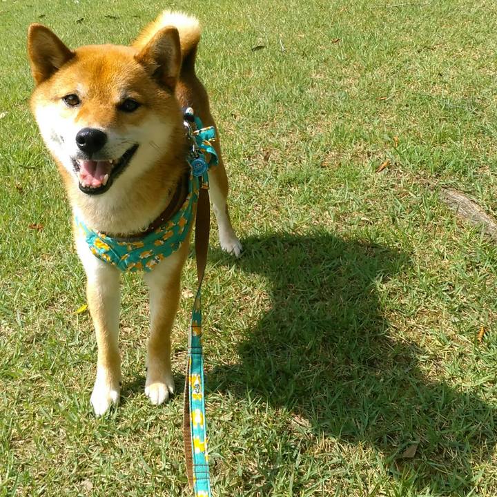 D1281edf c2ef 460b 8aea 2c3694340178