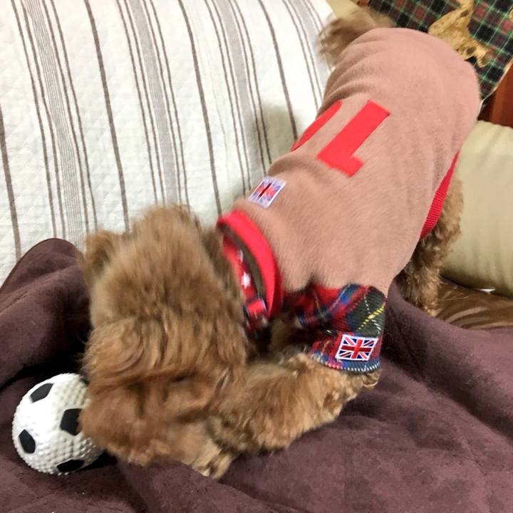 D128c0b8 3839 4aaf 9e50 3c60464b2528