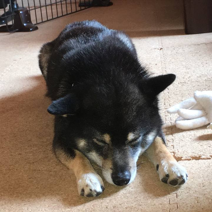 D128ee30 1b7c 4c1b 9522 1ab5e9dbe37f