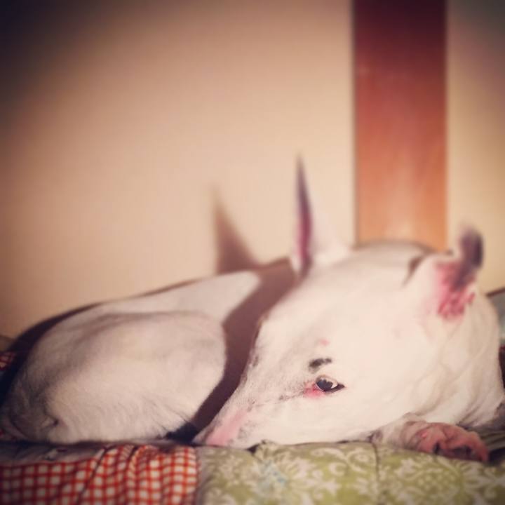 D129197f c501 4bb2 b73d 78f8a8d74d0d