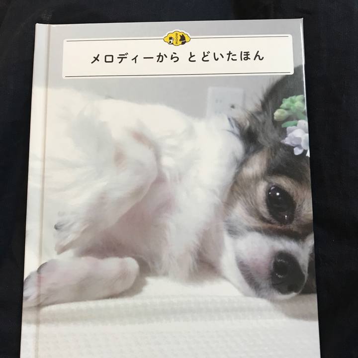 D1291c4a 5c1d 467f 8c36 97e8fb26fb02