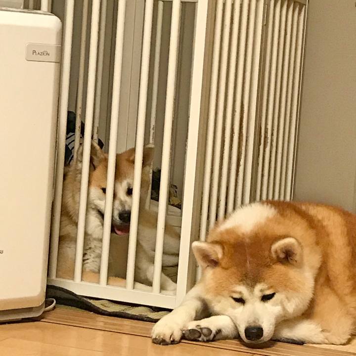 D1299ab4 5827 4478 98cf b25d2b28fc12