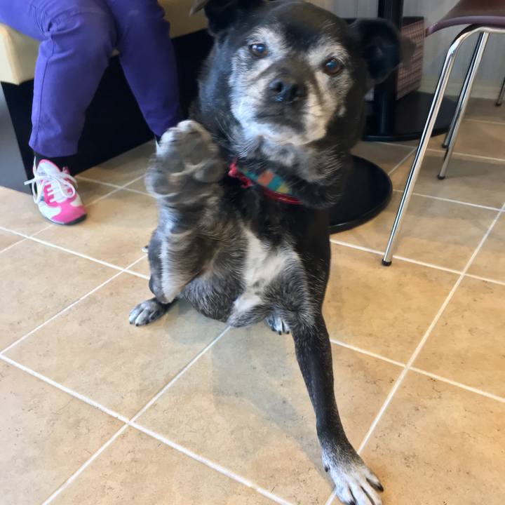 D12a9738 8ac9 43f3 b68c 11b44907a4d2