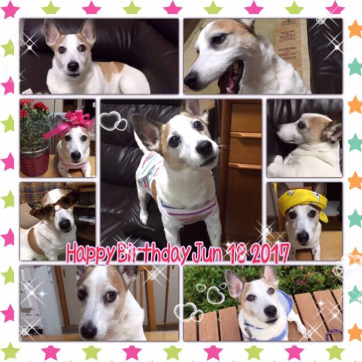 D12ad956 c866 409e a017 ad6176bd1913