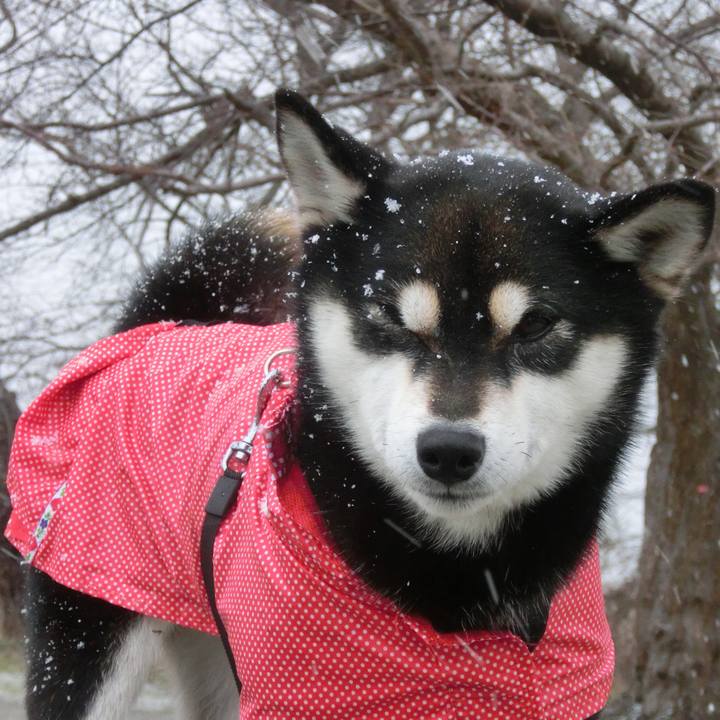 D12b2fb3 1694 4bff b376 653c48fe3f79