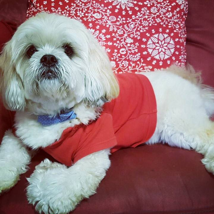 D12b5b46 e8f0 4b52 a398 f62c5fcde575