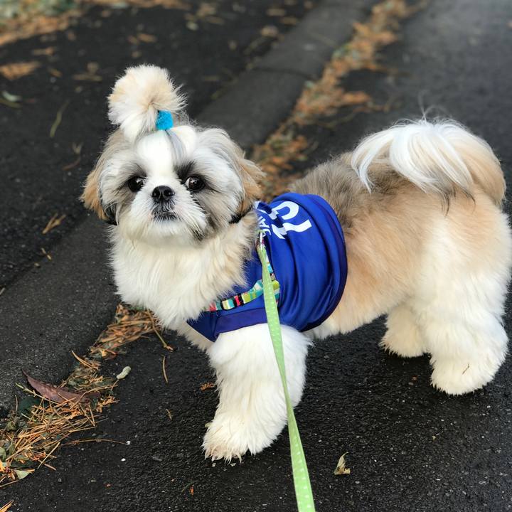 D12b882c bfe6 44f1 90a0 c4da026bd258