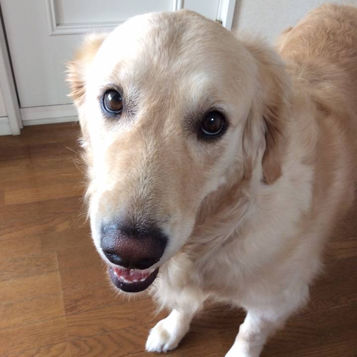 D12b8e01 85ae 4454 912e 730ddb740f8a