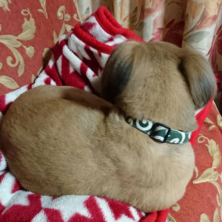 D12bf44e 3bda 4ab7 92fc 66ac745c0aaa