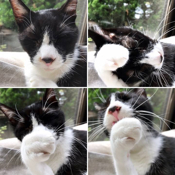 D12c541a 7e6e 4d30 9bb6 e57c5631d5f9