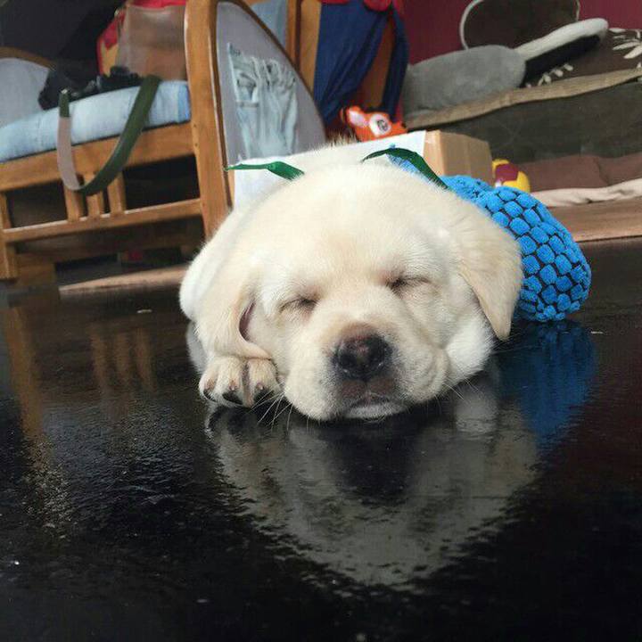 D12cb910 b13c 422f a852 ee553ae98e82