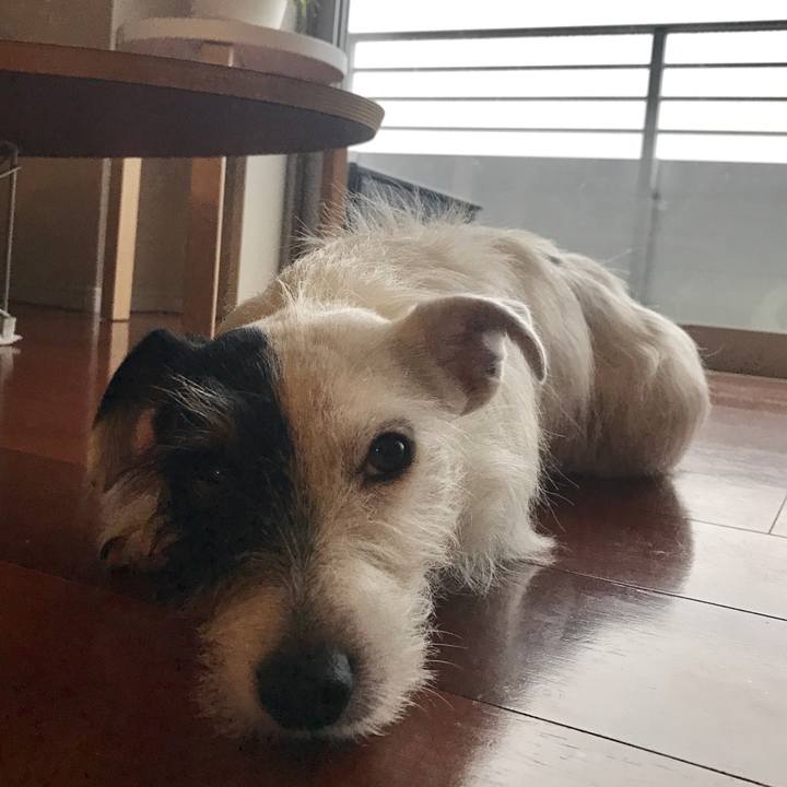 D12d6b9a 1940 47f6 b93e 83b80cdfc662