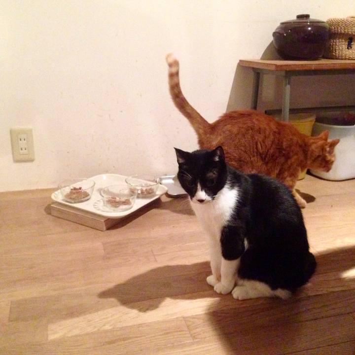 D12d8d9d 5ca4 4c77 8da8 46cfd7780d0c