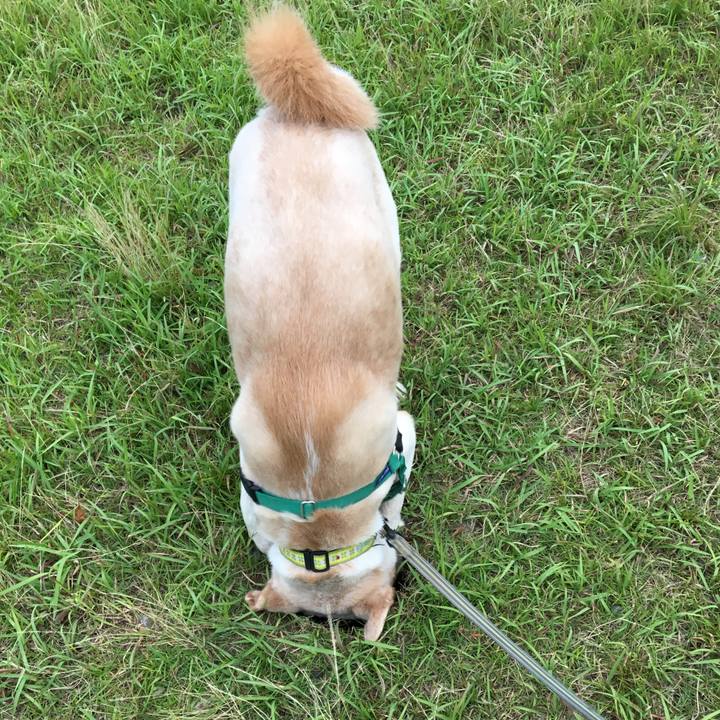 D12e3a42 4da7 44e5 bca8 545d7c9b6110