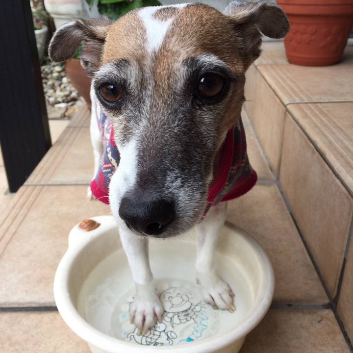 D12e7335 1aef 4e8b 8063 b4b15d690bac