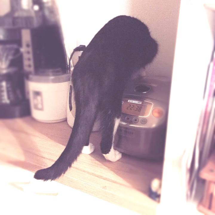 D12e7862 fc53 4472 9e65 14ebf6379a54