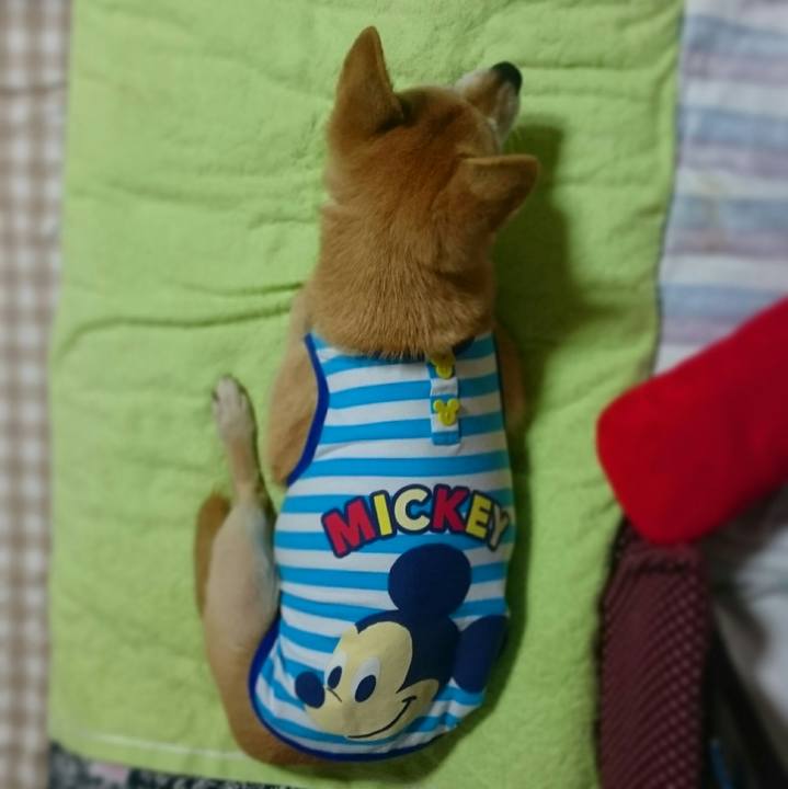 D12facb3 3cff 404d 8e78 1861bcc4db06