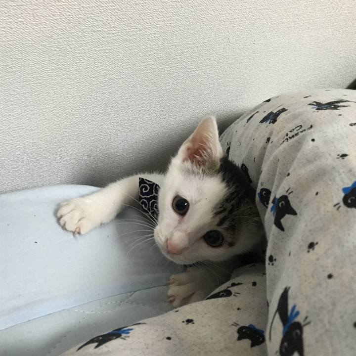 D1302b7e 824e 47e6 b553 6d06960f1437