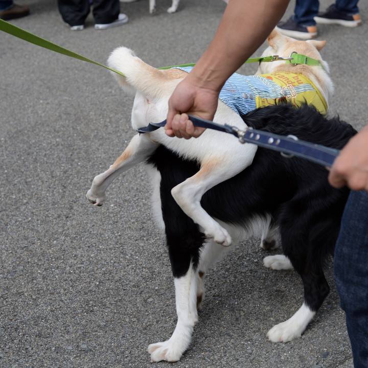 D130e99d ea36 42b4 8422 e65b08f76ce1