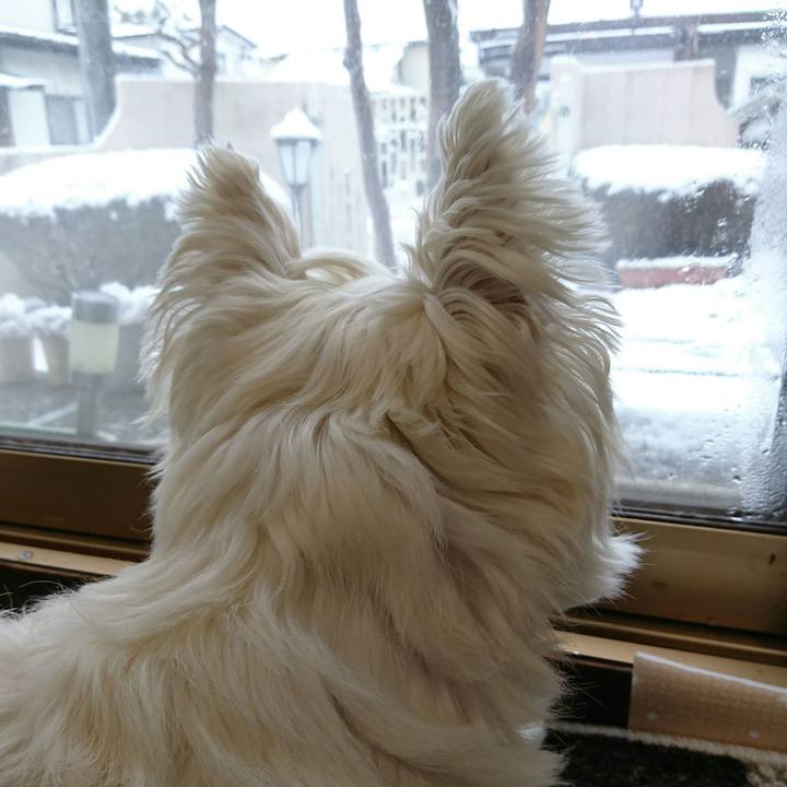 D131173f e74b 4925 a97c fb9844d091e8