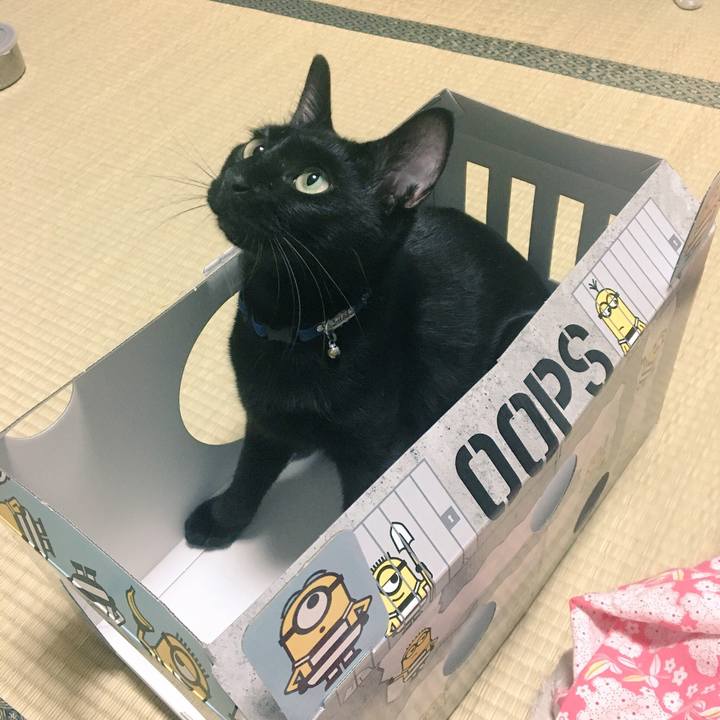 D131706a 114b 44bd ae1f 543805f1fb0f