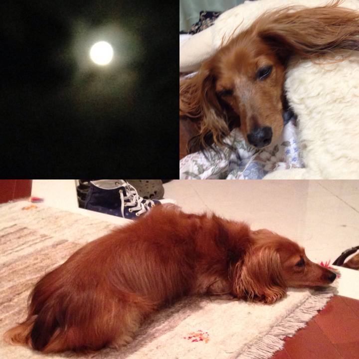 D132163d 965d 4af5 bdc1 aa5329c46946